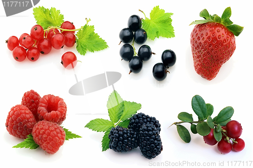 Image of Fresh berries