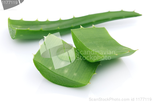 Image of Aloe