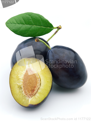 Image of Sweet plum