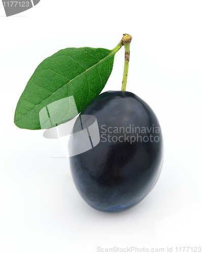 Image of Ripe plum