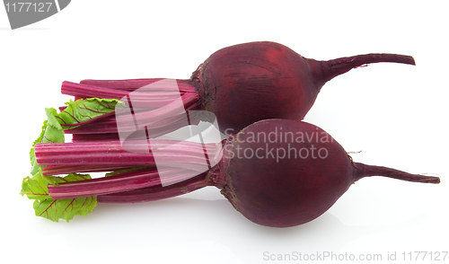 Image of Fresh beet