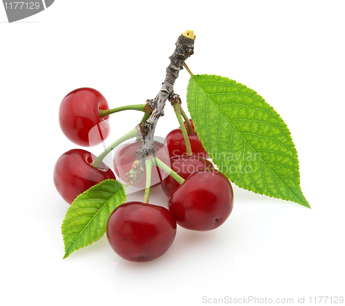 Image of Sweet cherry