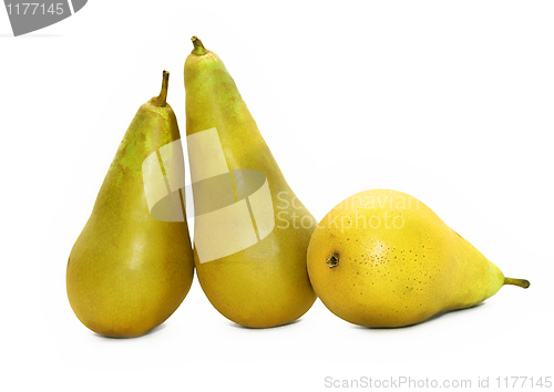 Image of three pears 