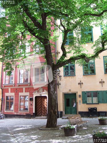 Image of Oasis in the Old City, Stockholm, Sweden