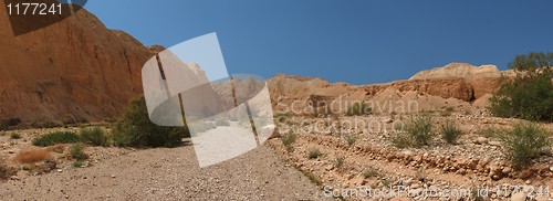 Image of Desert valley in the evening