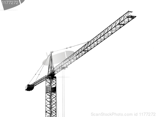 Image of Crane isolated