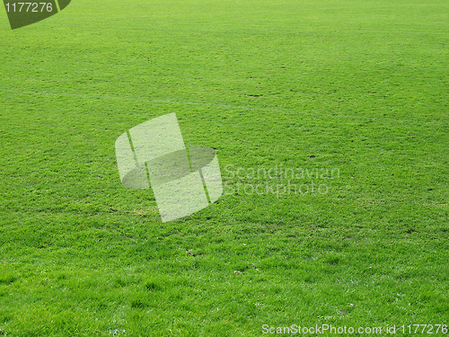 Image of Meadow background