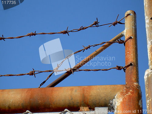 Image of Barbed wire