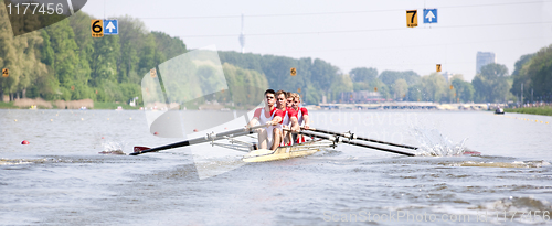 Image of Rowing Regatta