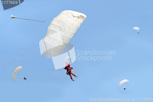 Image of Parachute Tandem Jump