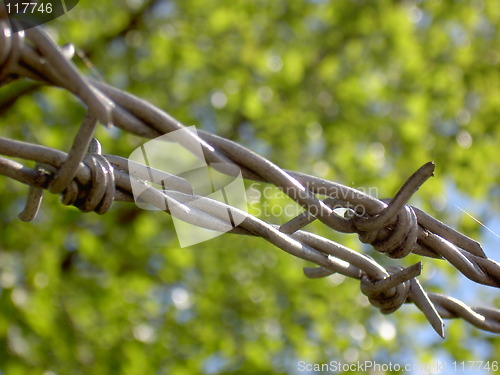 Image of Barbed wire