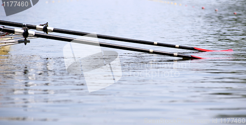 Image of Two Oars