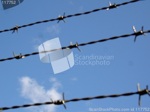 Image of Barbed wire