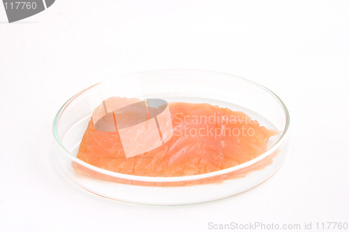 Image of smoked salmon in a petri dish