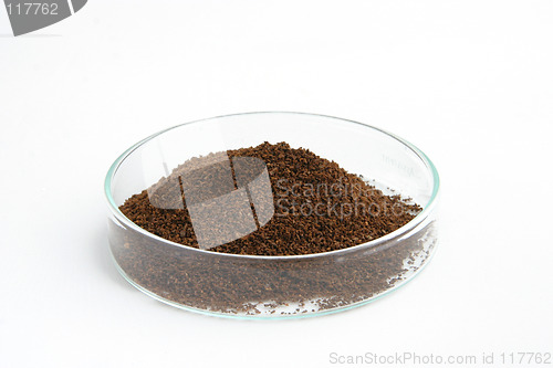 Image of coffee in a petri dish