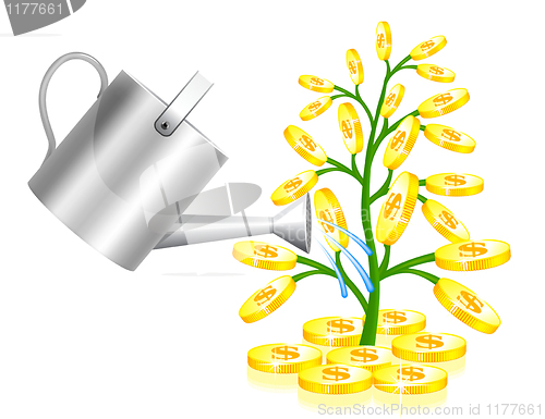 Image of Money tree