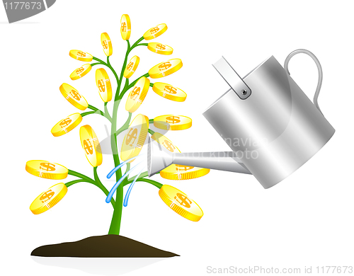 Image of Money tree 