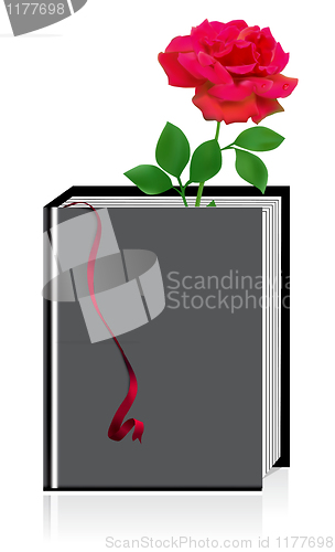 Image of Red rose in the book isolated on white 