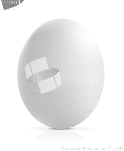 Image of close up of an egg on a white background