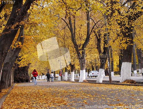 Image of Autumn city street