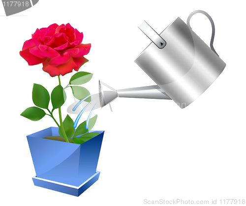 Image of Realistic watering can with rose illustration 