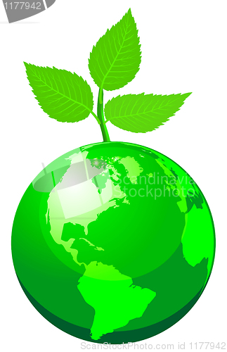 Image of green globe 