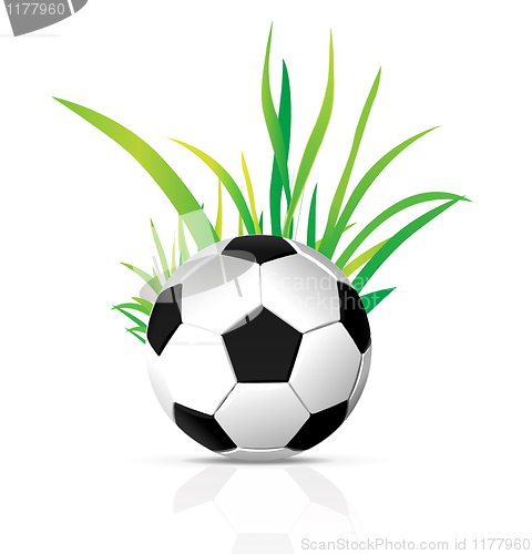 Image of vector soccer ball
