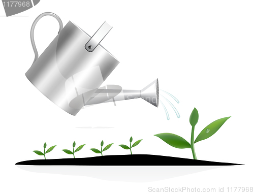 Image of Young plant with watering can