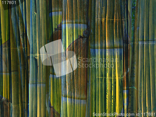 Image of Bamboo background