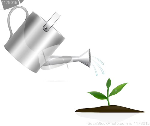 Image of Young plant with watering can