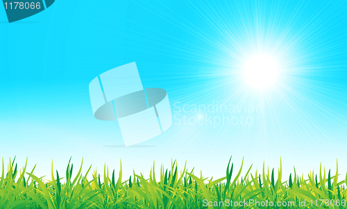 Image of vector green grass and blue sky