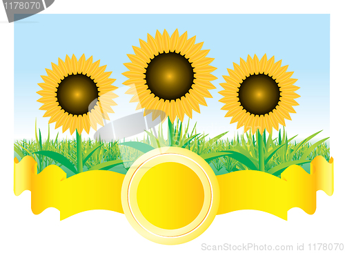Image of Beautiful vector sunflower background