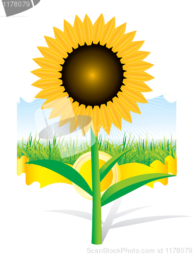Image of Beautiful vector sunflower background