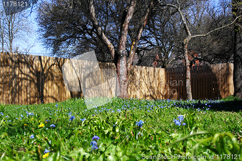 Image of sunny yard in the spring with fense