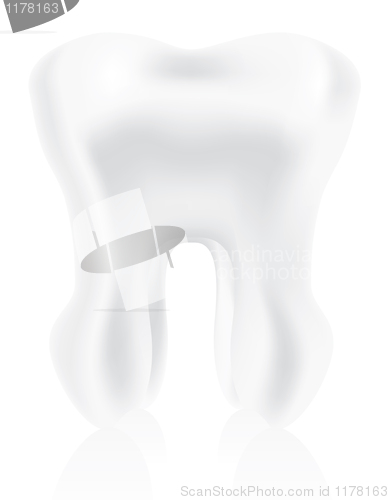 Image of photo-realistic tooth 