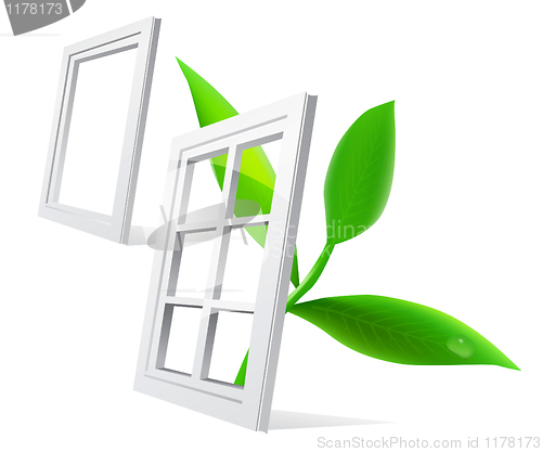 Image of window and leaf 