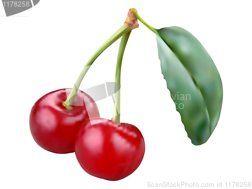 Image of Two vector cherries illustration