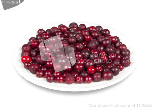 Image of Saucer with berries cranberries
