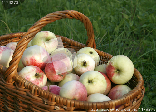 Image of Basket with apples