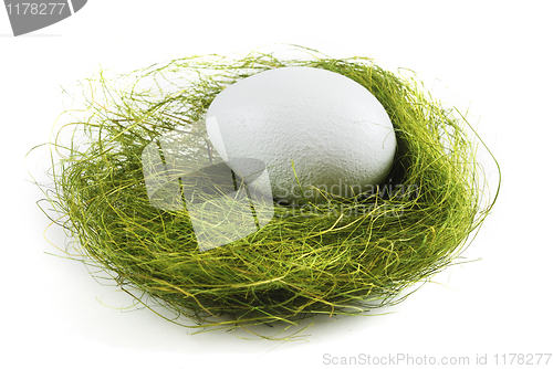 Image of egg in a nest over white