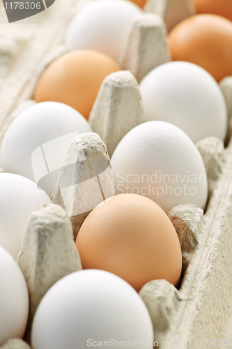 Image of Eggs