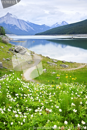 Image of Mountain lake in Jasper National Park, Canada