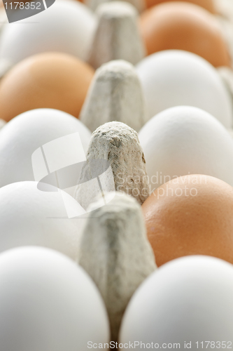 Image of Eggs