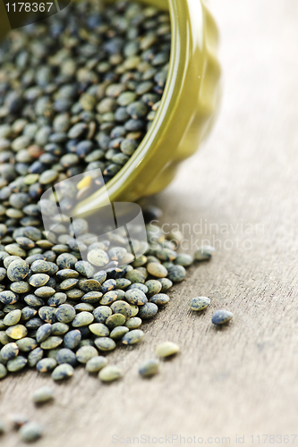 Image of Bowl of uncooked French lentils
