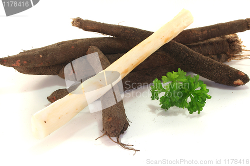 Image of Salsify