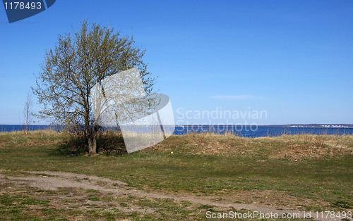 Image of landscape 