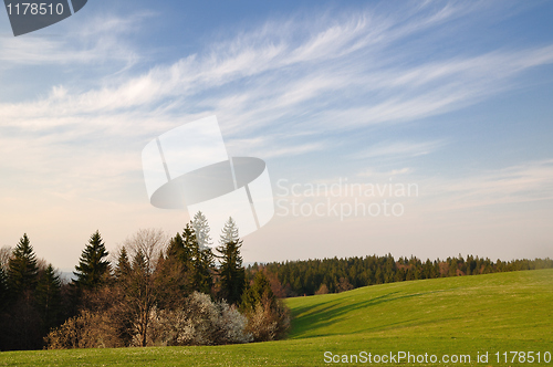 Image of Spring field in mountain