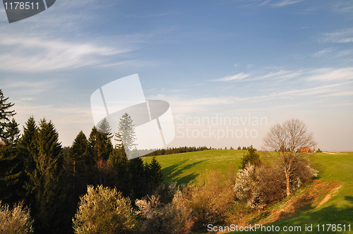 Image of Spring in mountain