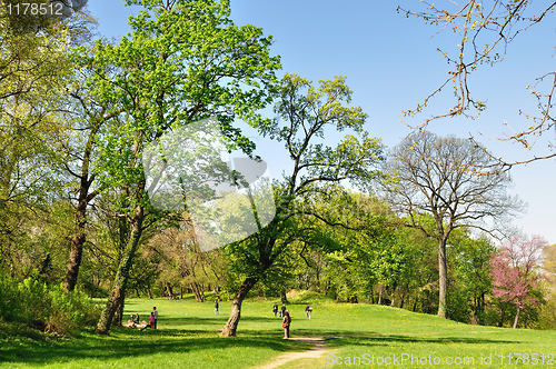 Image of Spring morning