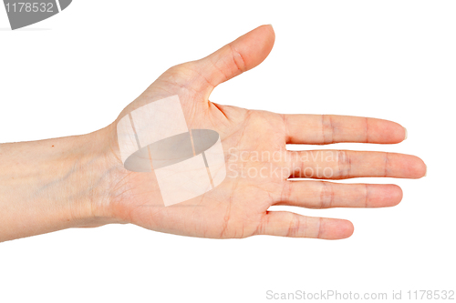 Image of woman's hand